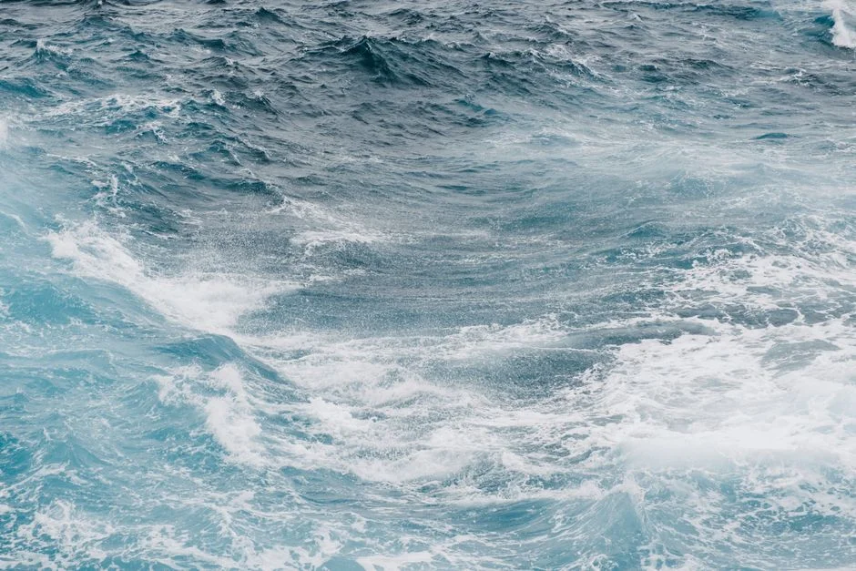 Africa Demands Greater Say in Ocean Governance as Blue Economy Grows — Environment Nature