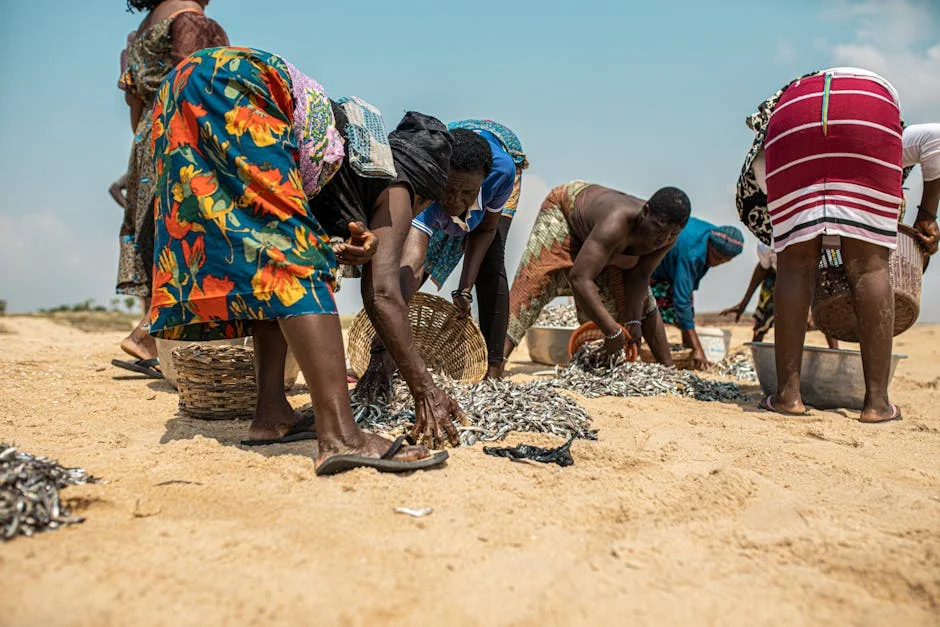 African Firms Take Africa Day to Drive Continental Growth — Economy Business