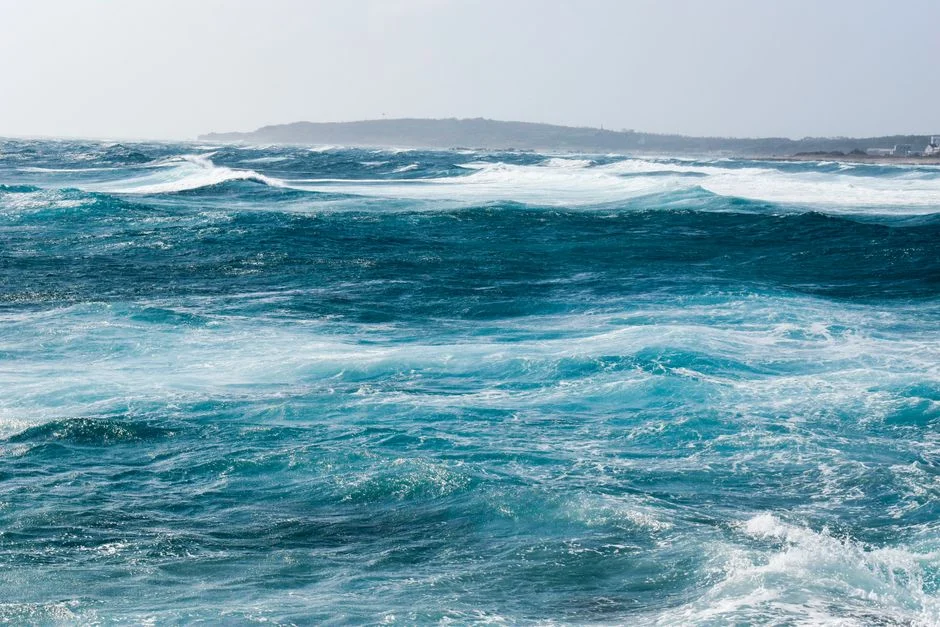 African Nations Demand Ocean Summit Deliver Real Action — Not Empty Promises — Environment Nature