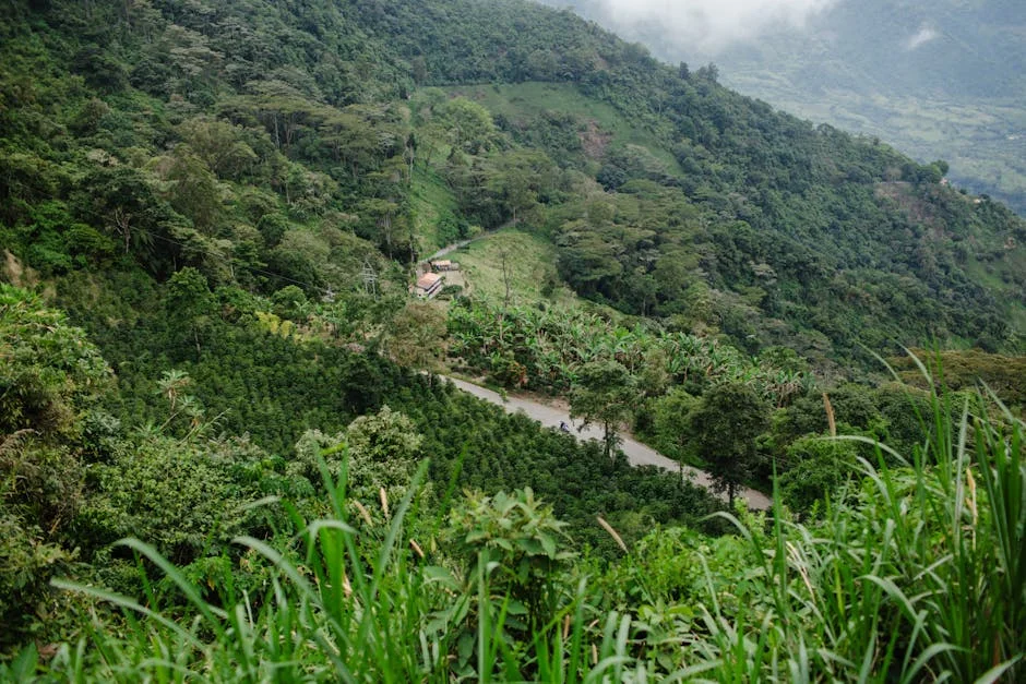 African Oil Producers Slam Colombia’s Fossil Fuel Push at COP28 — Economy Business