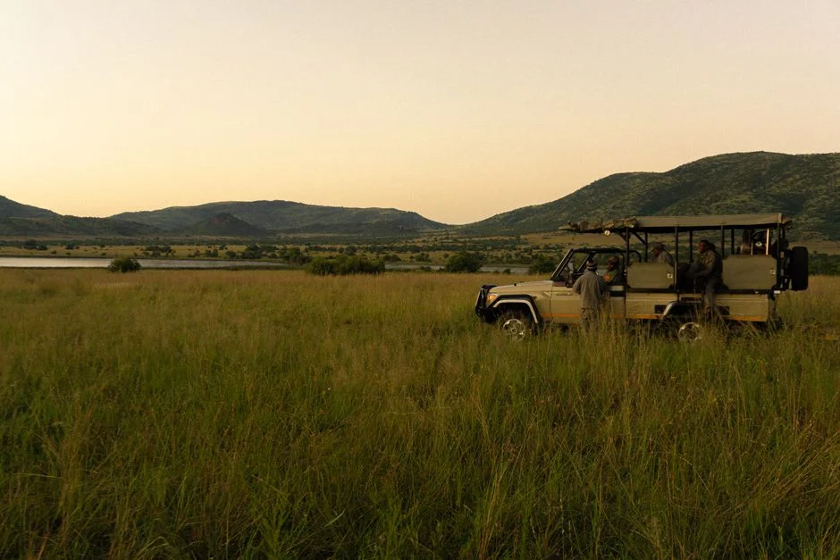 Africa's Luxury Tourism Strategy Risks Economic Instability — Health Medicine