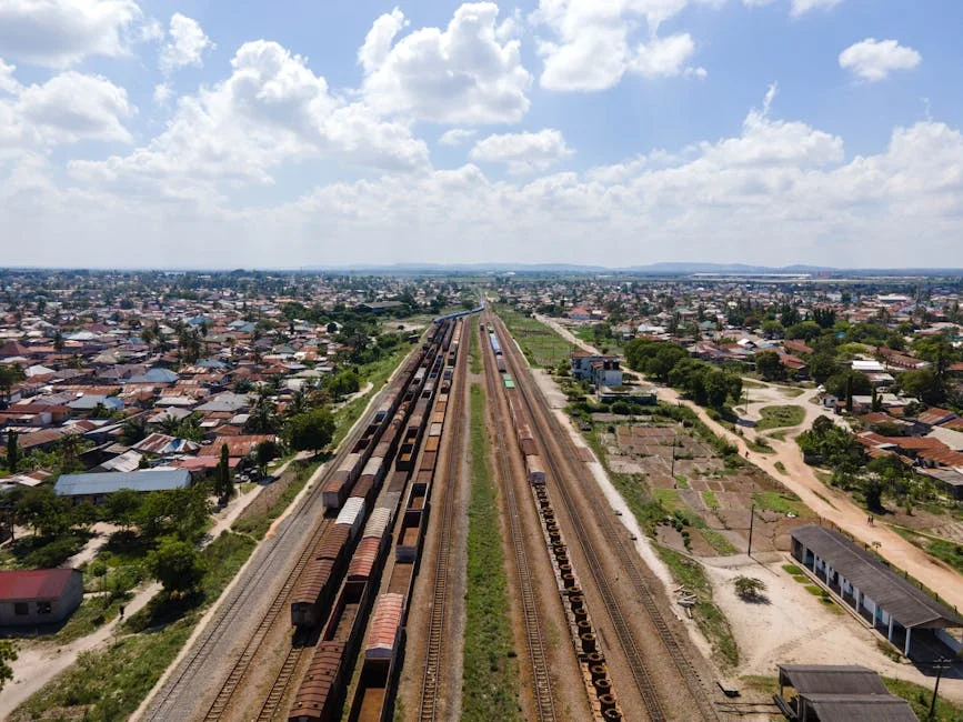 Angola Halts Key Projects — Lourenço’s Three Choices Reveal New Path — Health Medicine