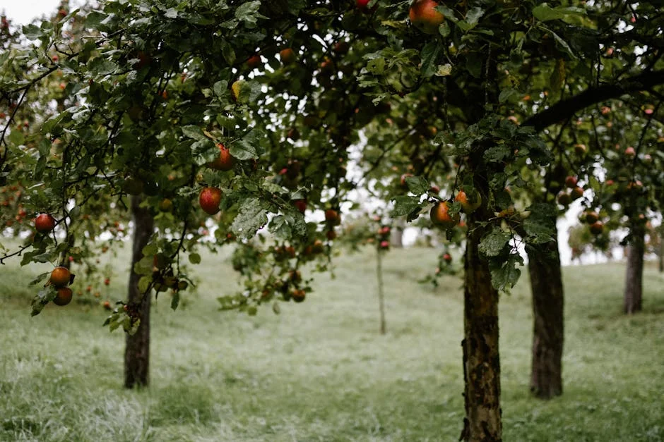 Apple Boosts African Agriculture — Pear Exports to China Surge Amid Trade Changes
