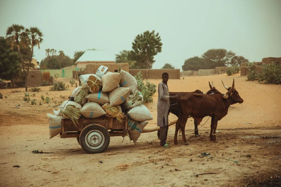 Bandits Kidnap Villagers After Fake Peace Meeting Invite in Zamfara — Health Medicine