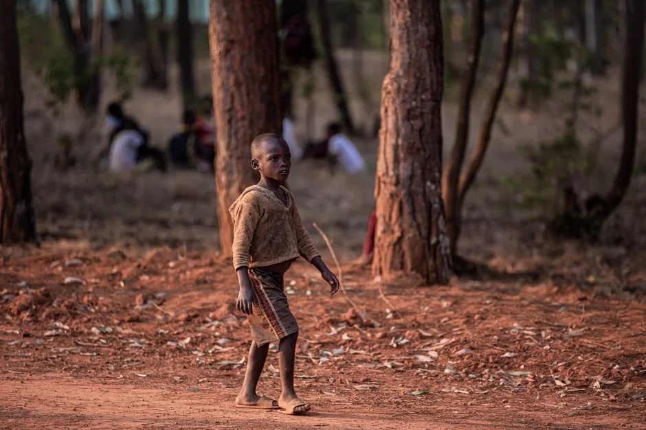 Congo’s Delayed Ebola Alert Exposes Africa’s Health Vulnerabilities — Health Medicine