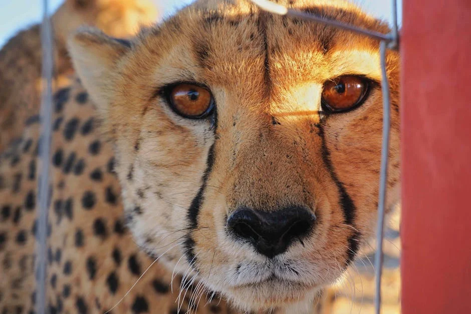 Cytheria Rex Killers Finally Sentenced After 17-Year Wait for Justice in South Africa — Health Medicine
