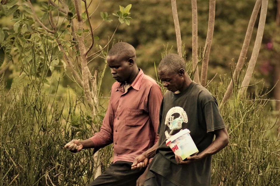 DRC Ebola Survivors Discharged — First Recoveries at Outbreak Epicentre Offer Hope — Health Medicine
