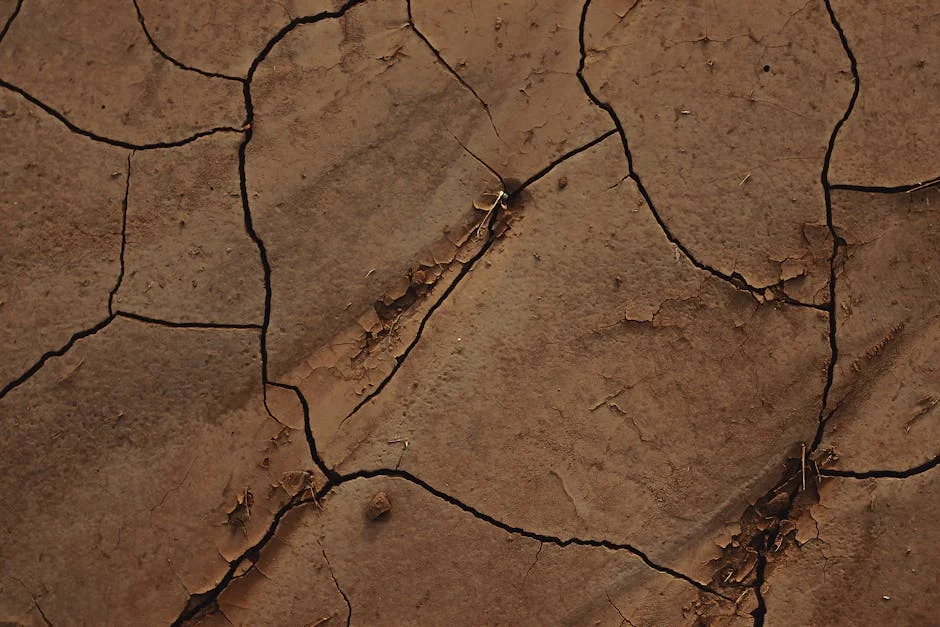 East Africa Faces Drought Crisis as Rainfall Drops Below Normal Levels — Environment Nature