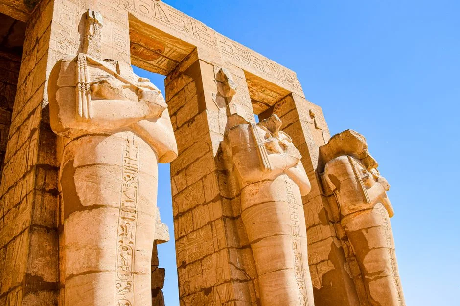 Egypt Draws New Zealand in Group G — World Cup Campaign Begins — Economy Business