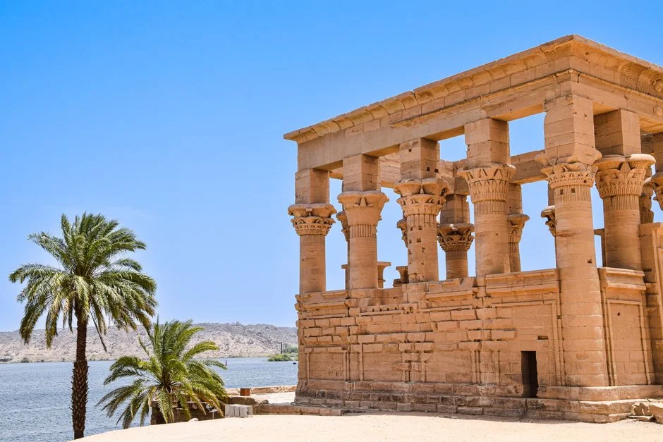Egypt Sink Australia — Claim First World Cup Knockout Victory in 80 Years — Technology Innovation