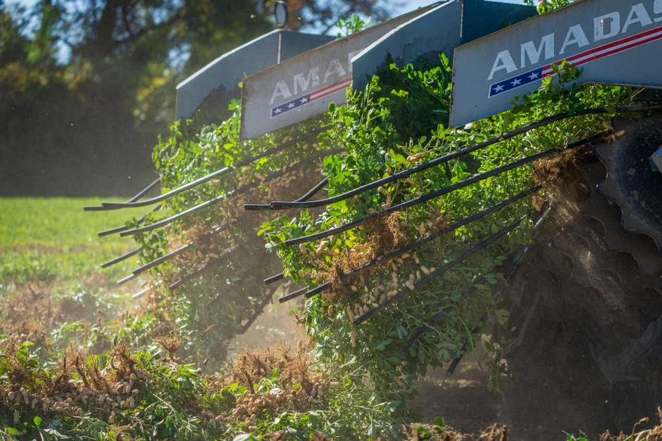 El Niño Threatens South Africa Harvest — Farmers Brace for Dry Conditions — Politics Governance
