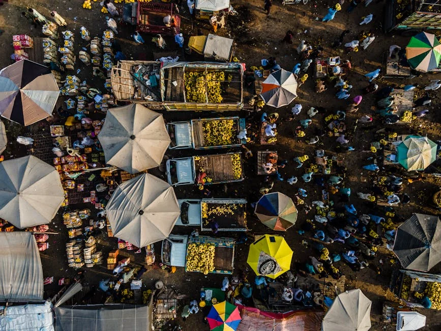 Ethiopia Bets on Dangote Fertiliser to Fix Food Crisis