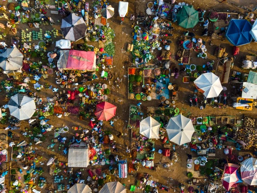 Four African Nations Crash Out of World Cup at Same Round — Fans Left Reeling — Health Medicine