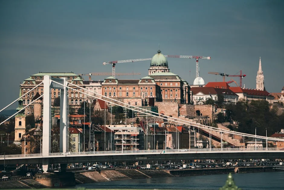 Hungarian Lawyer Challenges Fidesz in Historic Political Shift — Economy Business