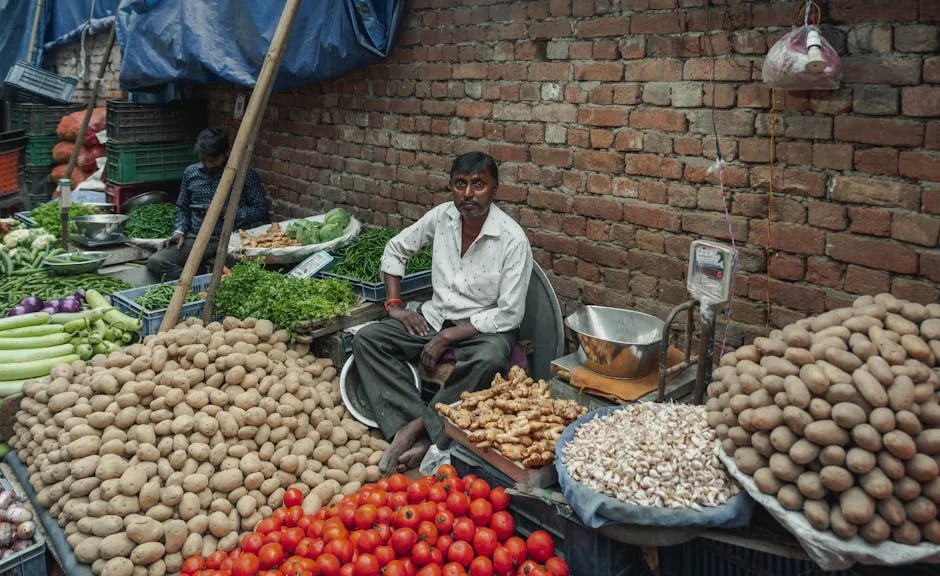 India Turns to Nigeria for Soybeans Amid Rising Domestic Demand — Economy Business