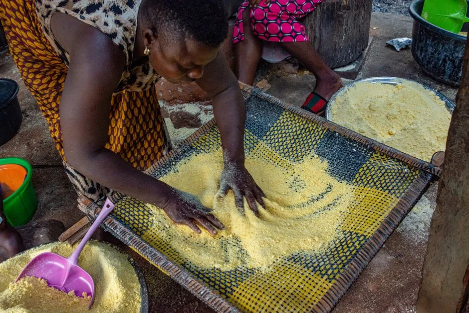 India Turns to Nigeria for Soybeans Amid Supply Chain Crisis — Economy Business