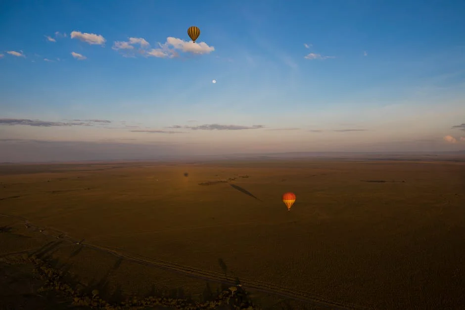 Kenya Demands Visa-Free Africa to Unlock Tourism Boom — Environment Nature