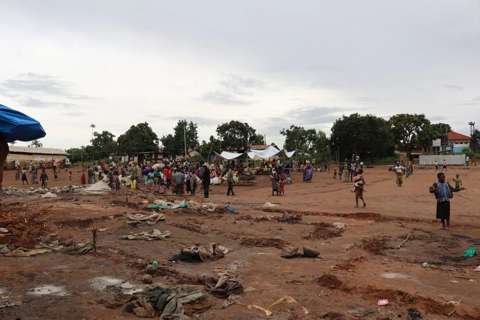 Kenya Halts US Ebola Facility — Minister Cites Sovereignty in Construction Order — Politics Governance