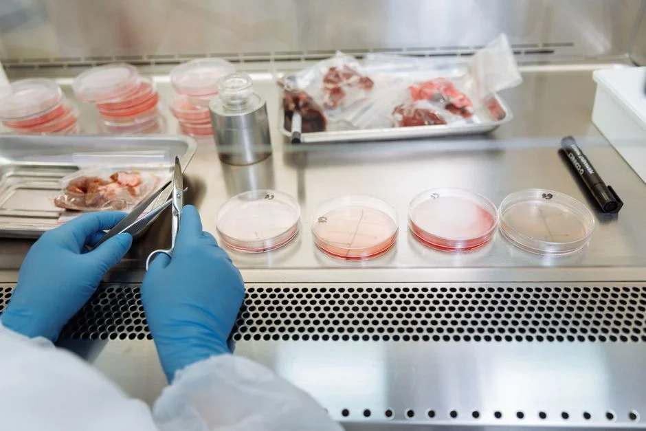Kenya Protests U.S.-Funded Ebola Lab — Communities Demand Answers — Health Medicine