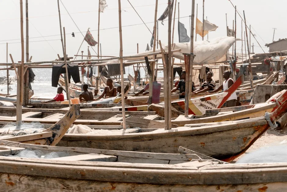 Lagos Intensifies Ebola Surveillance as Central Africa Death Toll Hits 177 — Politics Governance