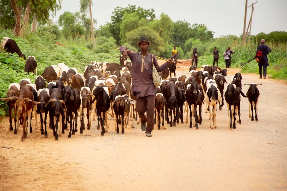 Local Peacemakers Challenge Nigeria's Bandit Crisis — and Some Are Winning — Politics Governance