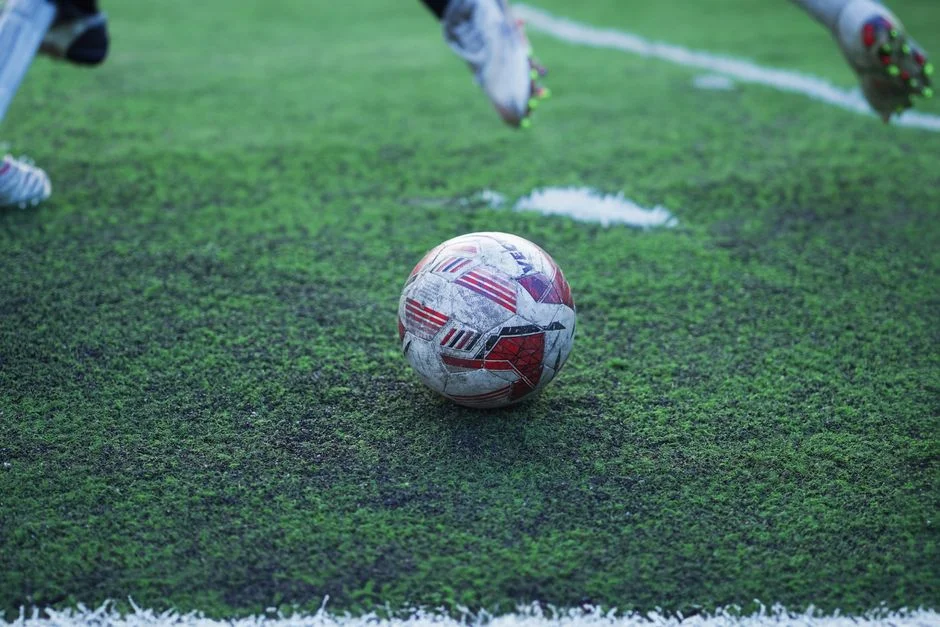 Morocco Dethrones Argentina to Claim FIFA's Top Spot After World Cup Upset — Environment Nature