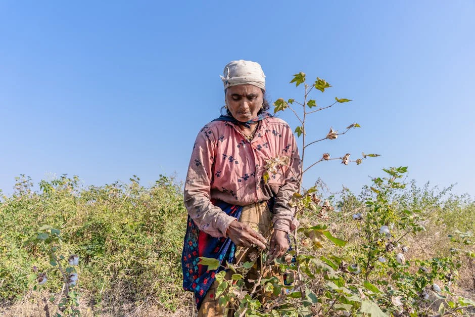 Morocco Farmers Face Crisis As Middle East War Skyrockets Costs