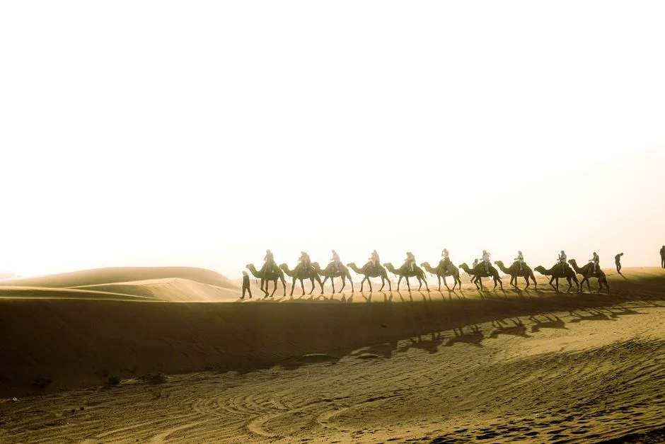 Morocco Promotes Tourism in Western Sahara Amid Territorial Control Debate — Politics Governance