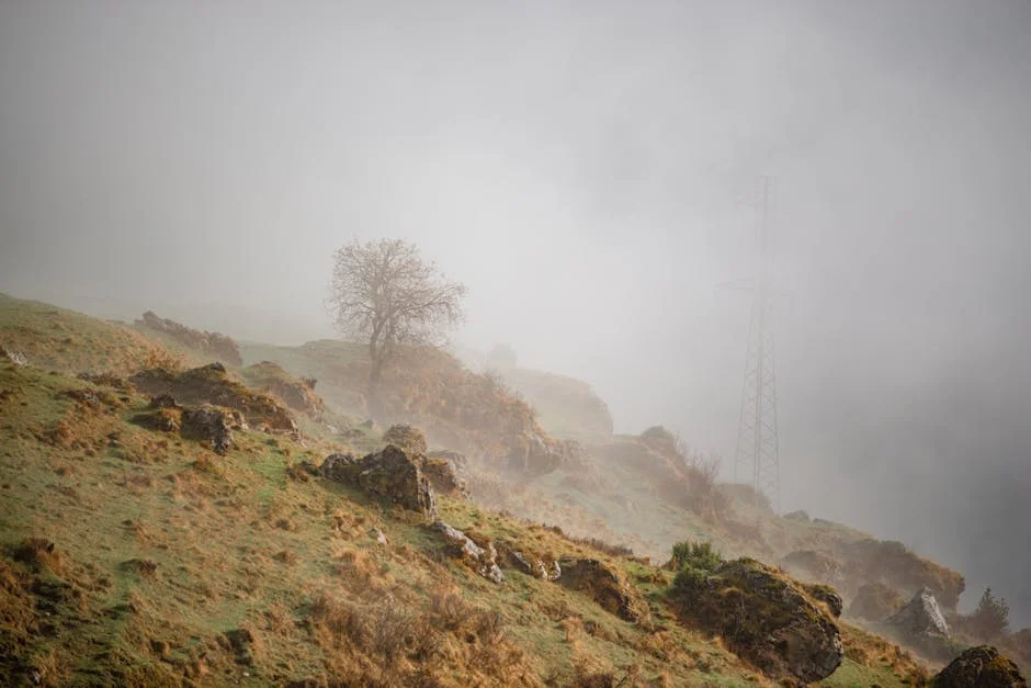 Mpumalanga and Eastern Cape Brace for Foggy Morning and Isolated Showers