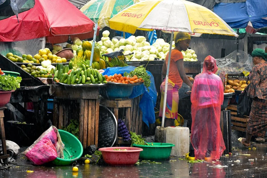 Nigeria Food Prices Surge Monthly Despite Annual Dip — Economy Business
