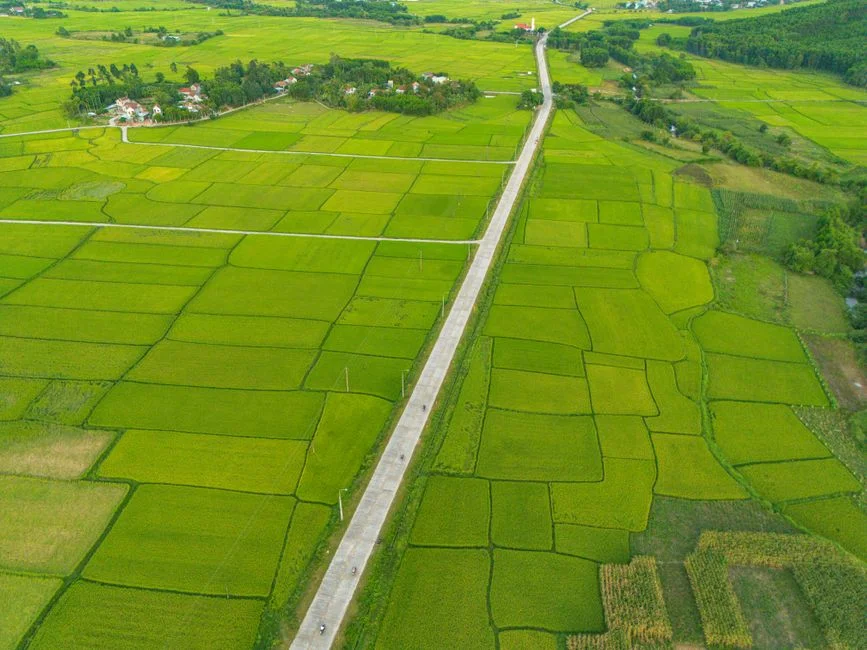 Nigeria Launches N500bn Land Trust Fund to Unlock Youth Agribusiness — Economy Business