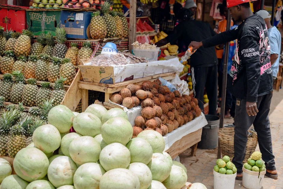 Nigeria's VAT Collections Surge to N2.42 Trillion As Tinubu's Tax Reforms Take Hold — Technology Innovation