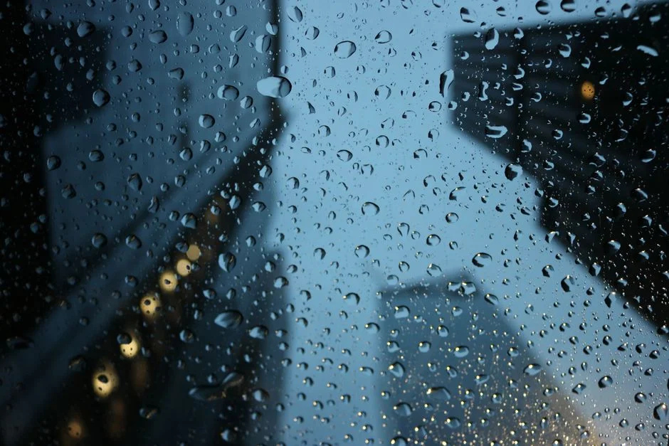 Rain Returns to Western Cape and Eastern Cape After Days of Warm, Dry Weather — Economy Business