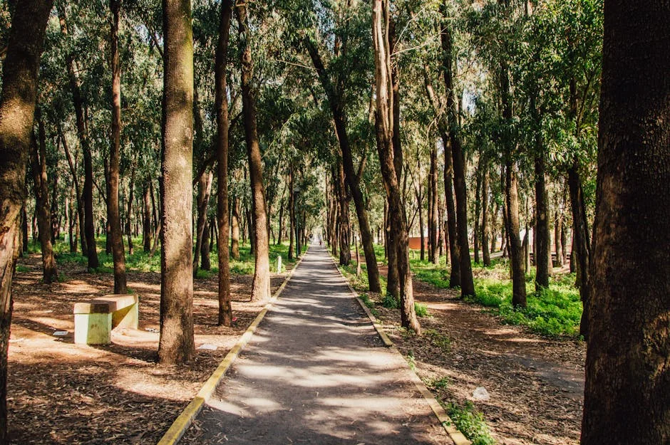 Rwanda Backs Local Parks Model to Secure Wildlife Legacy — Environment Nature