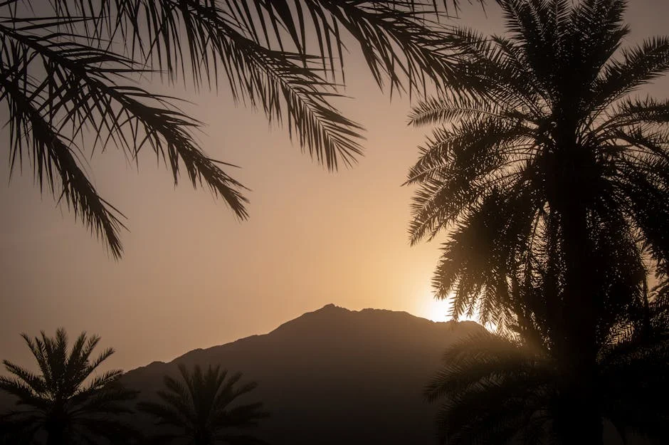 Saudi Arabia Shifts From Vision 2030 to Pragmatism Under Mohammed