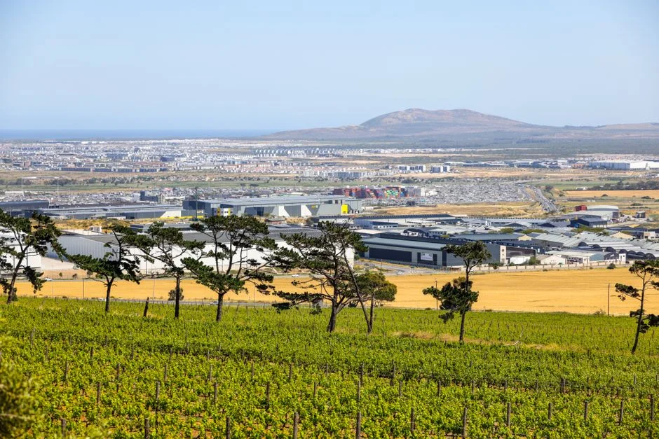 South Africa Deploys AI to Protect $2.8 Billion Fruit Export Sector — Politics Governance