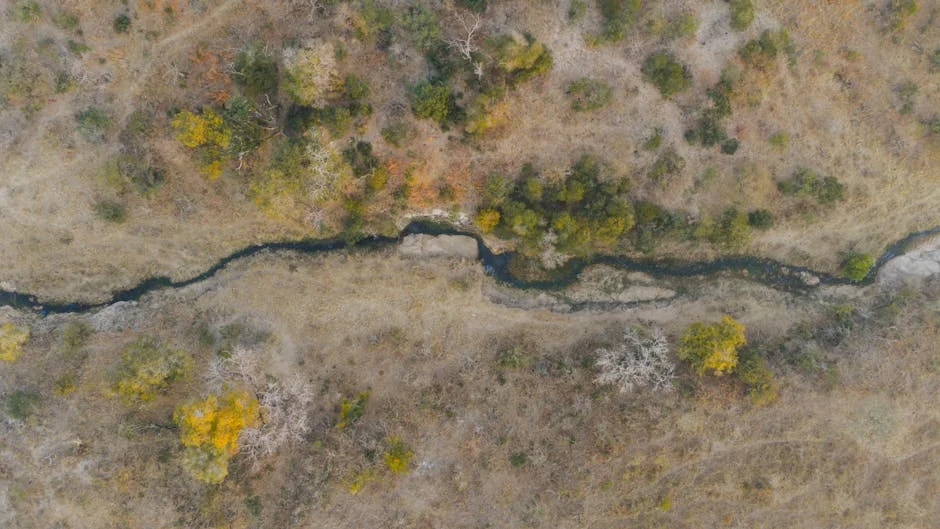 South Africa Exceeds Climate Targets — What the Numbers Reveal — Environment Nature