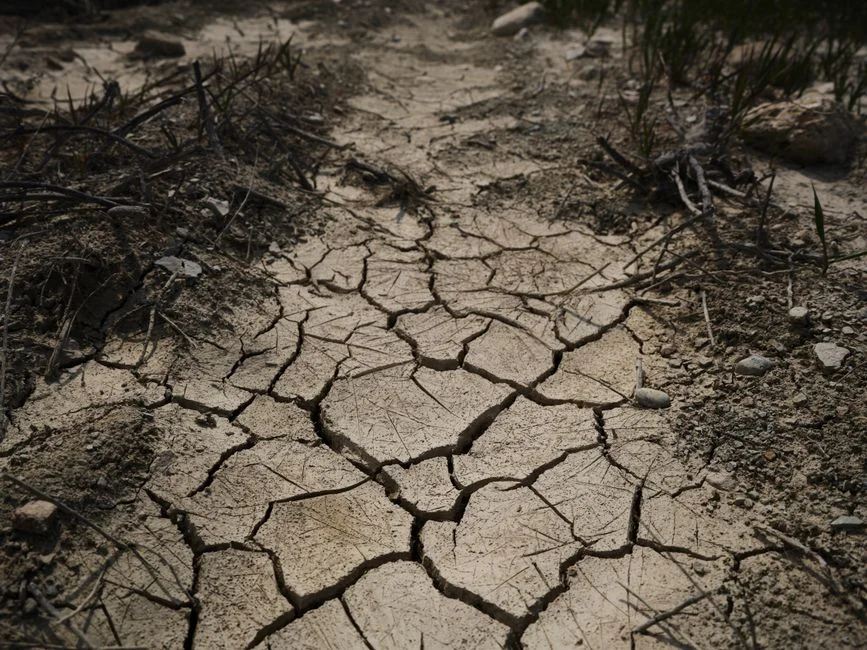 South Africa Faces Farm Crisis as Iran Conflict Triggers Soaring Costs — Environment Nature