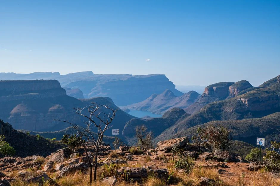 South Africa Forces All Travellers to File SARS Online Declaration — New Rules Begin — Environment Nature