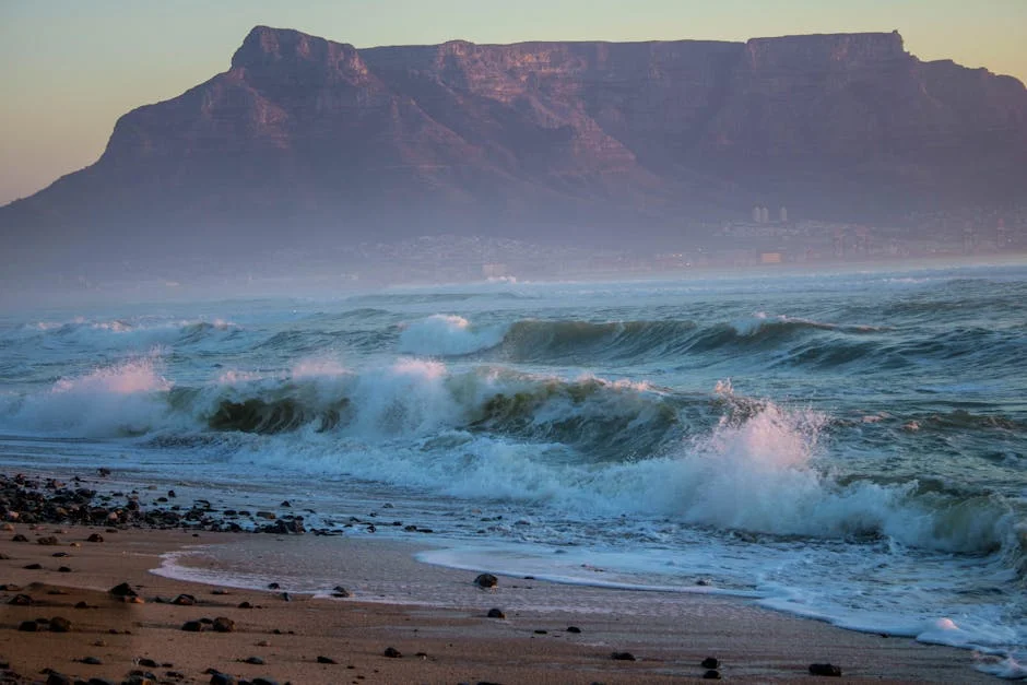 South Africa Halts Migration Reforms Amid Rising Xenophobic Tensions — Politics Governance