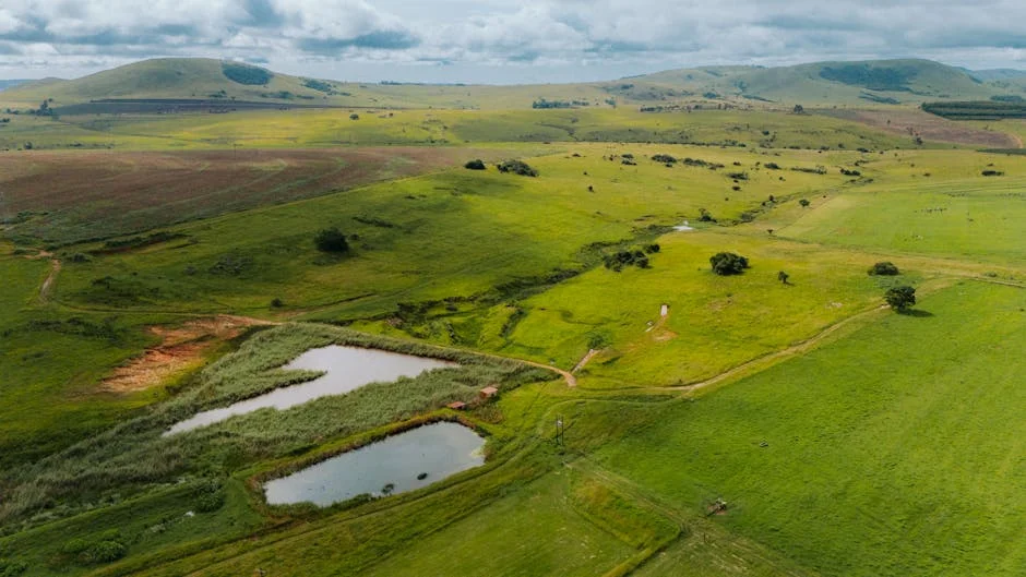 South Africa Launches National Water Amendment Bill to Combat Water Crisis