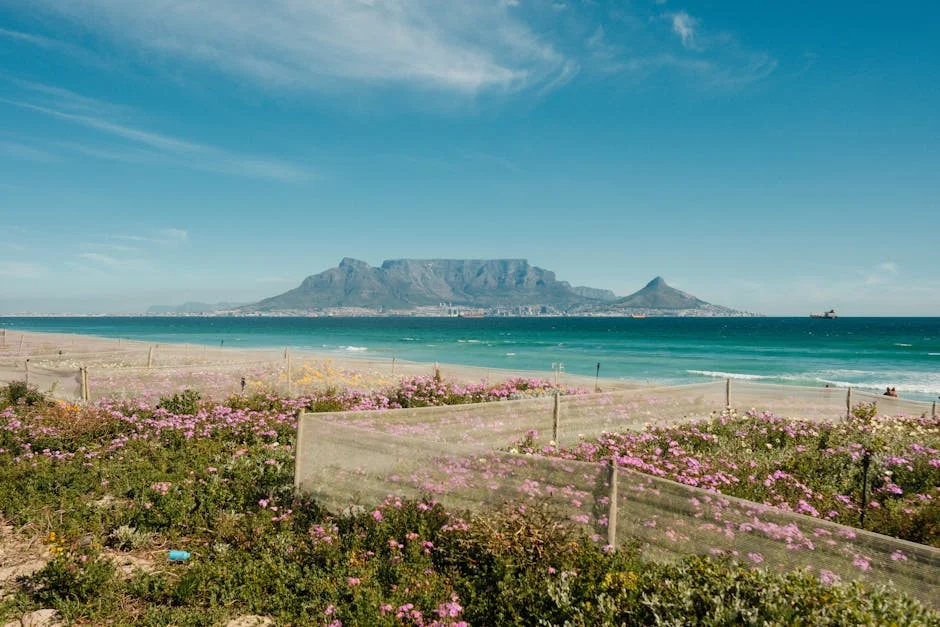 South Africa Launches New Offshore Initiative to Transform Energy Sector — Environment Nature