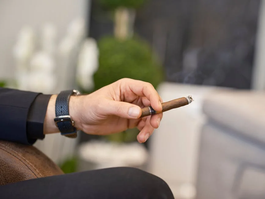 South Africa Marks World No Tobacco Day — 80% of Smokers Ignore Quit Advice — Politics Governance
