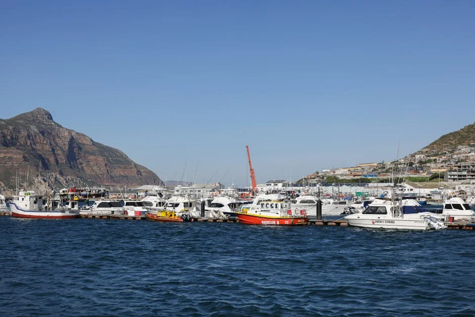 South Africa Postpones Key Corruption Probe — What It Reveals About Governance