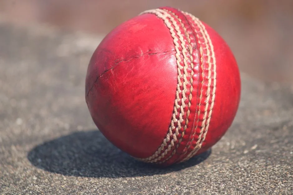 South Africa Stuns India to Revive Women's T20 World Cup Semi-final Push — Economy Business