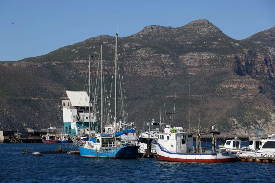 South Africa Unveils Top 50 Companies Creating Entry Level Jobs for Young Workers — Politics Governance