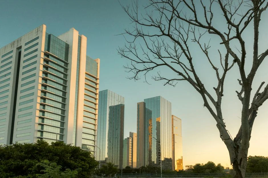 South Africa's REIT Market Defies Global Headwinds as Property Trusts Gain Ground — Economy Business