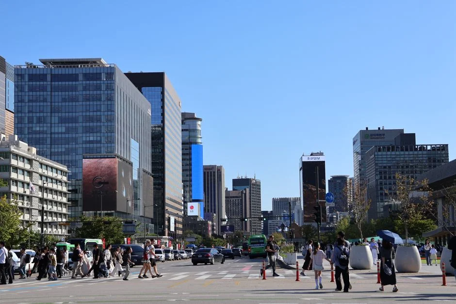 South Korea Brings the Noise to World Cup Group Clash Against South Africa — Environment Nature