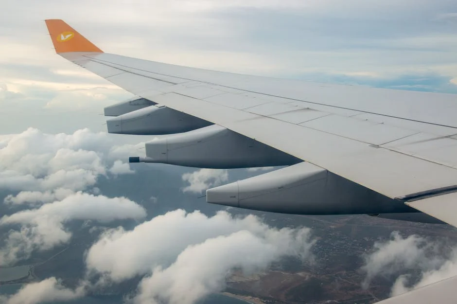 Uganda Enforces Ebola SOP for Airlines Amid Rising Cases in Congo — Health Medicine
