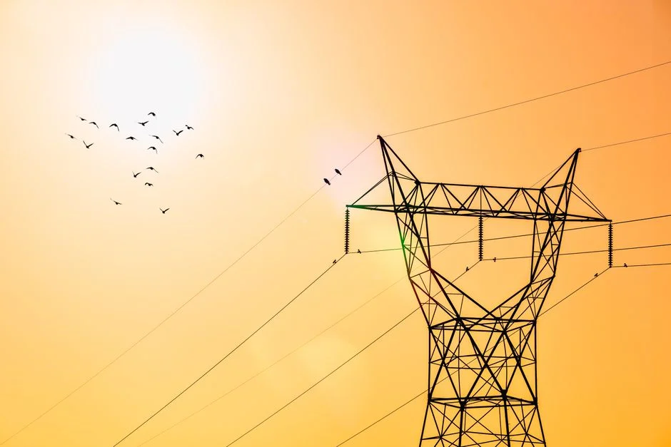 US Expands Tariffs on South Africa After Electricity Probe Triggers Trade Escalation — Politics Governance